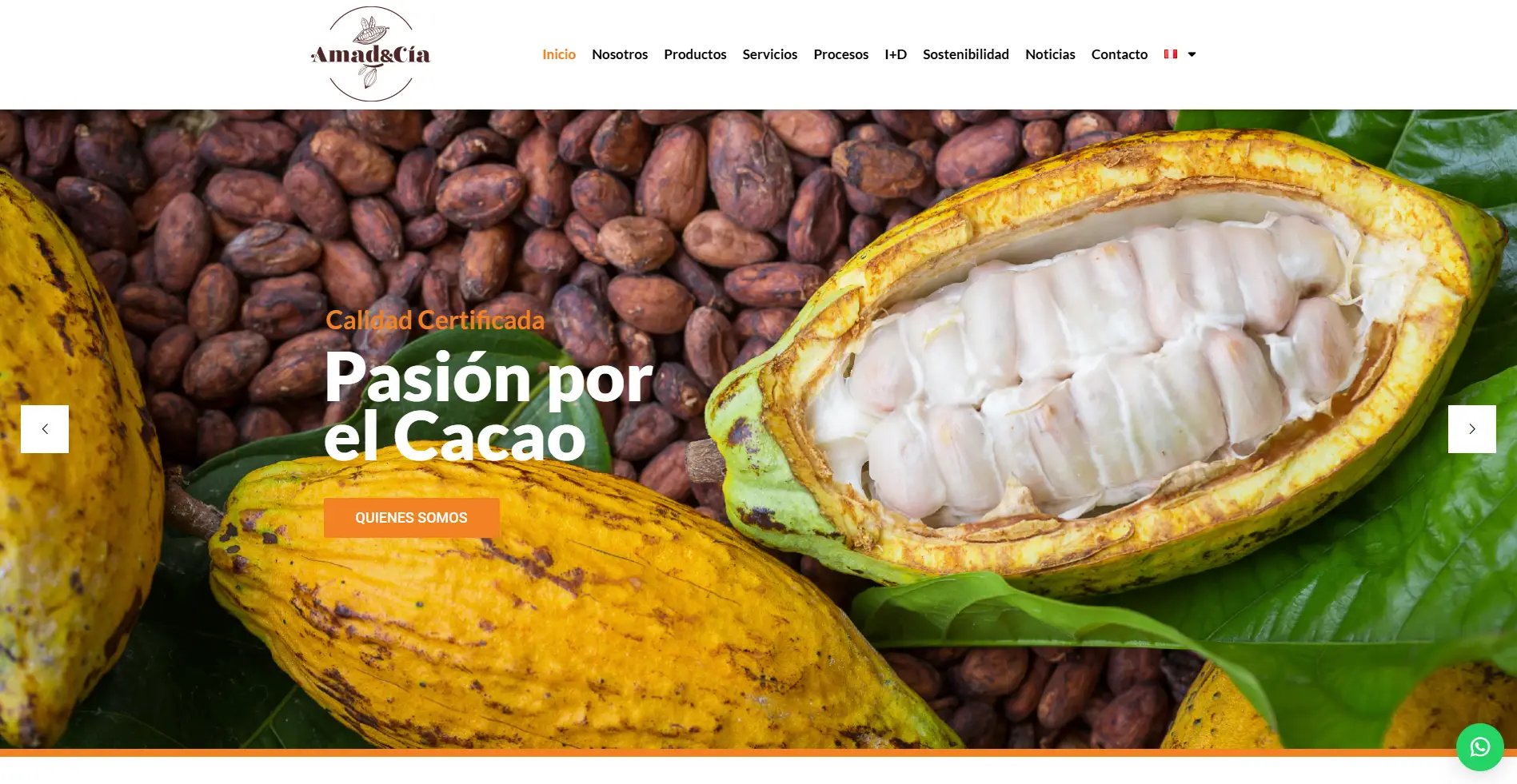 Página web para Exportación
