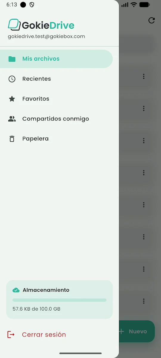 Captura de la app GokieDrive