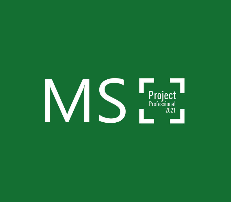 MS Project Professional 2021